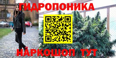 мяу мяу мука Партизанск
