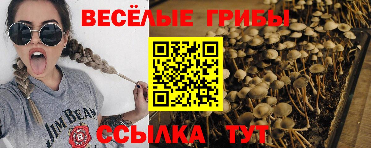 Галлюциногенные грибы MAGIC MUSHROOMS  Вход с VPN  Сокол 